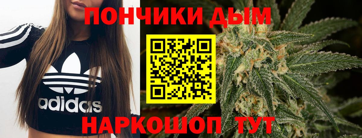 Бошки Шишки Bruce Banner  Вход с VPN  Бошки марихуана THC 21%  Сургут  Шишки марихуана гибрид 